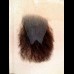 Pubic Hair Patch